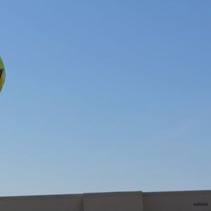 Meet your Posher, Alexia